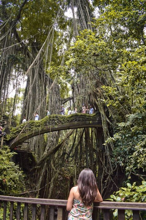 En All You Need To Know About The Sacred Monkey Forest In Ubud Bali