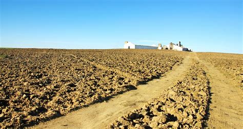 Abandoned Farmlands Climate Change: How Neglect Fuels the Crisis ...