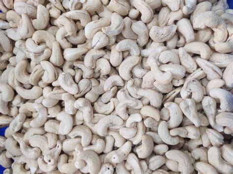 Whole Cashew Nut Ww320 Packaging Size 10 Kg At Best Price In Gurugram