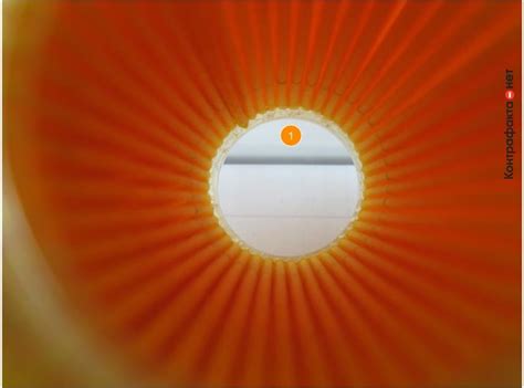 0415238020 / Поиск / Контрафакта.нет — экспертная лаборатория