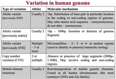 #9 Alteration of DNA sequence Diagram | Quizlet 