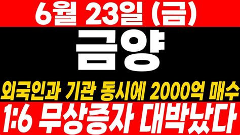 속보 금양 긴급 오늘 뜬 속보 3자배정 특별배당금 연이어 터졌다 내일 오전 10시 이후 폭등금양 금양주가 Youtube