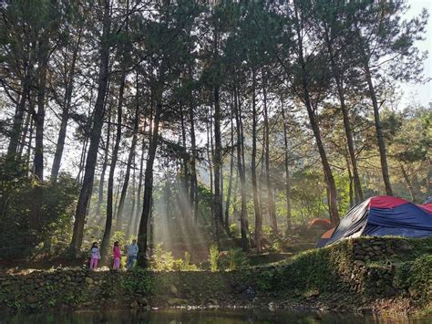 Highland Camp Curug Panjang Tempat Camping Seru Dekat Air Terjun