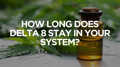 How Long Does Delta 8 Stay In Your System TribeTokes