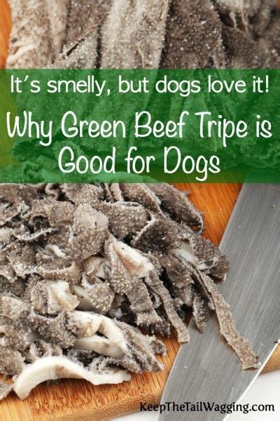 Why Green Tripe is Good for Dogs | Keep the Tail Wagging | Raw dog food ...