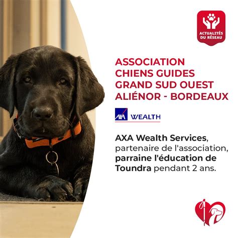 Ffac Chiens Guides On Twitter Merci Axa Wealth Services M Rignac