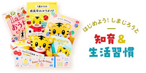 ちゃれんじ Dvd 1歳〜7歳頃 約6年分 期間限定特価品 キッズ・ファミリー