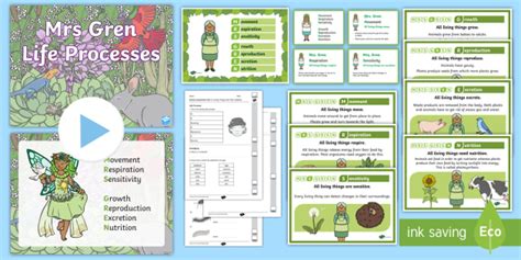 Mrs Gren Activity Pack Life Processes Resource Pack