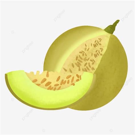 Fresh Melons Fruit Melon Illustration Png Transparent Clipart Image