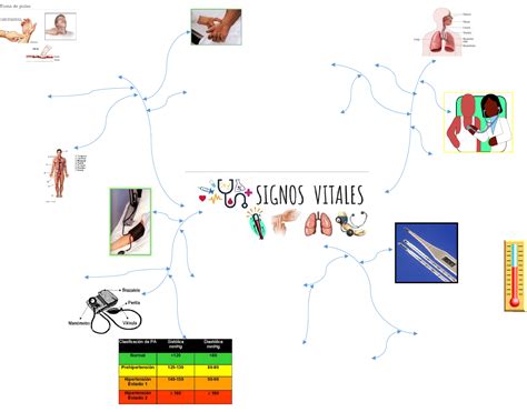 Arriba 93 Imagen Mapa Mental Sobre Signos Vitales Abzlocal Mx