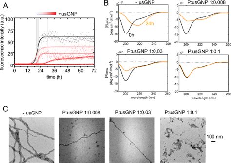 Protein Conformational Transitions And Aggregation A Aggregation