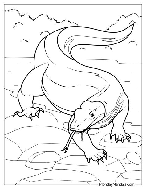 20 Komodo Dragon Coloring Pages (Free PDF Printables)