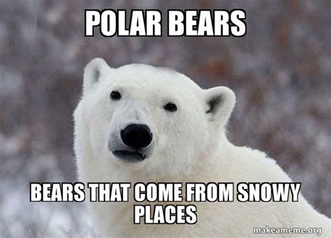 Polar Bear Meme #2 by SuperMarioFan65 on DeviantArt