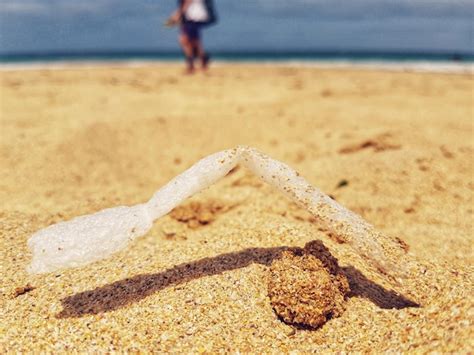 Premium Photo Low Section Of Person On Beach