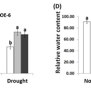 Photosynthesis rate Pn μmol m 2 s 1 A stomatal conductance gs