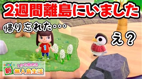 【あつ森】住民勧誘したまま離島で2週間過ごしてしまった結果50【あつまれどうぶつの森】 Youtube