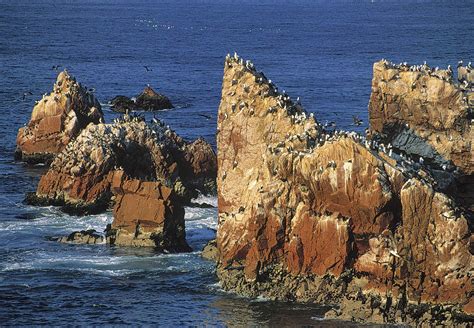 Visit Peru Visit Paracas In The Coast Of Peru Beautiful Beaches And