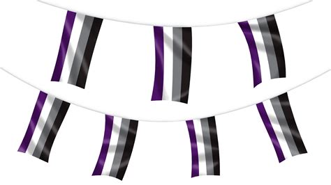 Asexual Pride Bunting Hampshire Flag Company