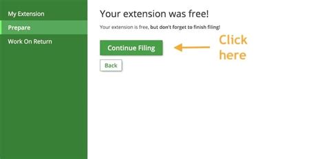 How To Prepare And E File An IRS State Income Extensions