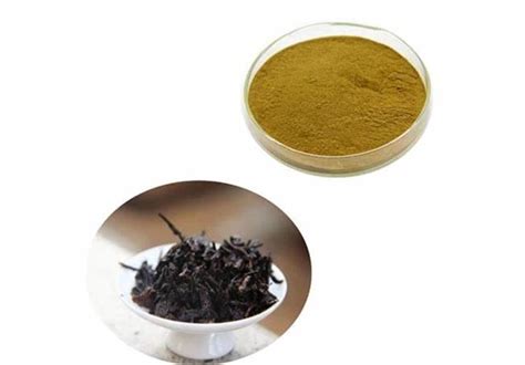 Extracto Instant Neo De T Pu Erh Ace Biotechnology Co Ltd