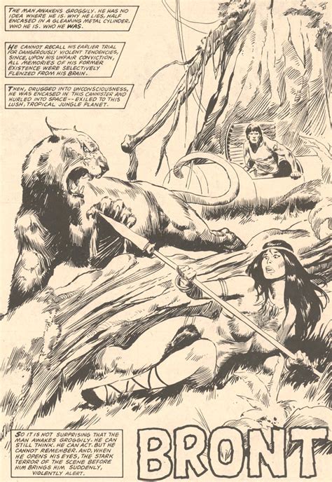 Bront From Savage Sword Of Conan 66 By J M DeMatteis And John Buscema