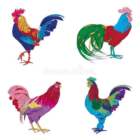 Four Roosters Series Stock Vector Illustration Of Black 94876893