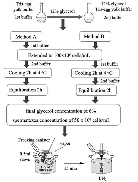 SciELO Brasil Effect Of Glycerol Addition Time On The Cryopreserved