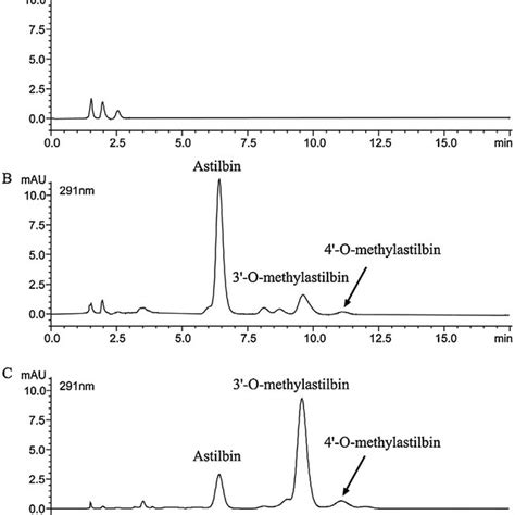 Example Hplc Chromatograms Of The Extracts From Rat Plasma A Blank