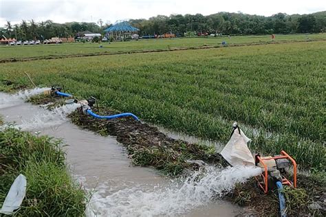 Antisipasi El Nino Kementan Siapkan Sistem Pompa Di Gowa Sulsel