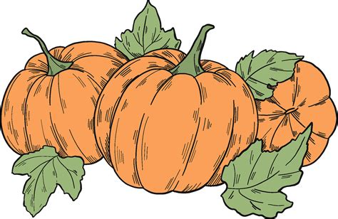 Pumpkin Patch Clip Art Free