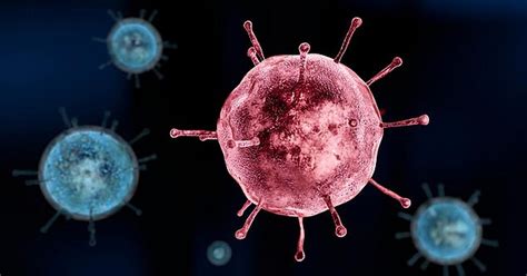 Yaravirus After Coronavirus A New Mysterious Virus Has Been Found In