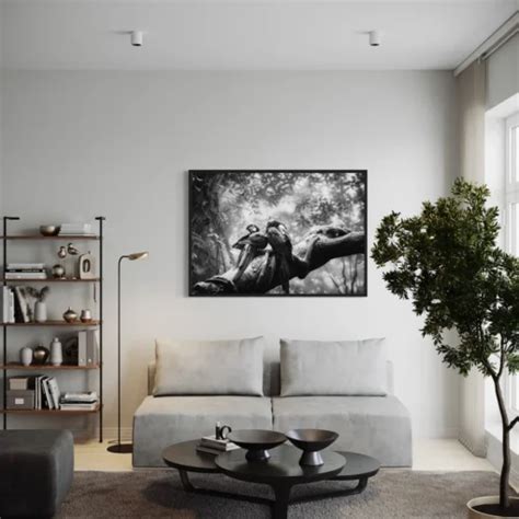 Tableau De Perroquet Noir Et Blanc Off Pure