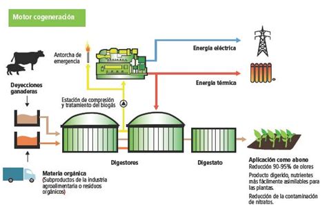 Agroacademicosmy Biogas