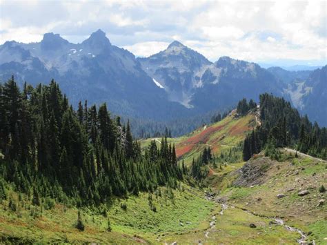 Alta Vista Trail - Visit Rainier