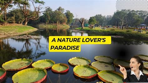 Botanical Garden Howrah Full Tour Guide Shreya Youtube