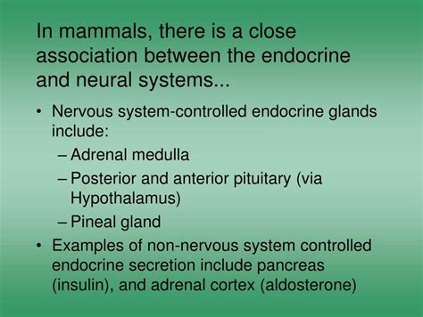 Ppt Animal Endocrine Systems Powerpoint Presentation Free Download