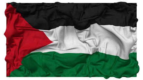 State of Palestine Flag Waves with Realistic Bump Texture, Flag ...