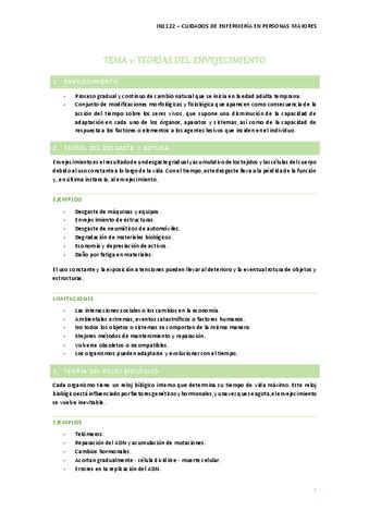 APUNTES MAYORES COMPLETOS Pdf