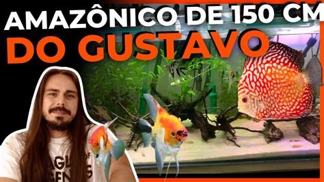 O AQUÁRIO AMAZÔNICO DE 1 50 DO INSCRITO GUSTAVO CONHECENDO OS