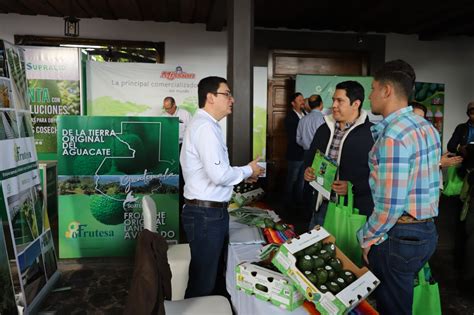 Congreso Nacional De Aguacate Busca Potencializar Comercialización De Este Cultivo Agencia