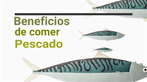 Descubre Qu Tipo De Alimento Es El Pescado Y Sus Beneficios En Tu