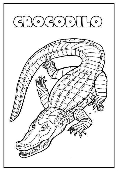 Desenhos De Crocodilo Para Colorir Bora Colorir