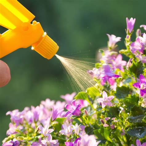 spray for fruit tree 3