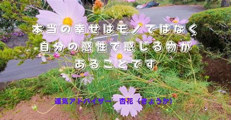 本当の幸せはモノではなく自分の感性で感じる物があることです パッと今日から開運！