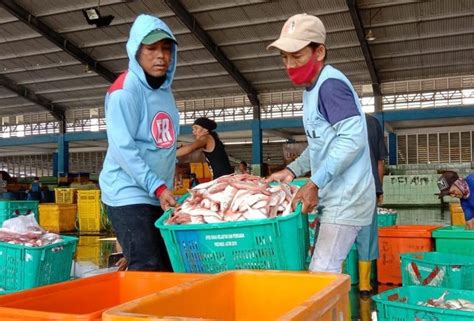 Akibat Cuaca Buruk Harga Ikan Laut Di Tpi Lamongan Naik Headline