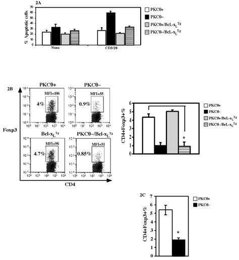 Transgenic Bcl X L Failed To Rescue The Defective Development Of Treg