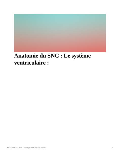 Solution Anatomie Du Snc Le Systme Ventriculaire Studypool