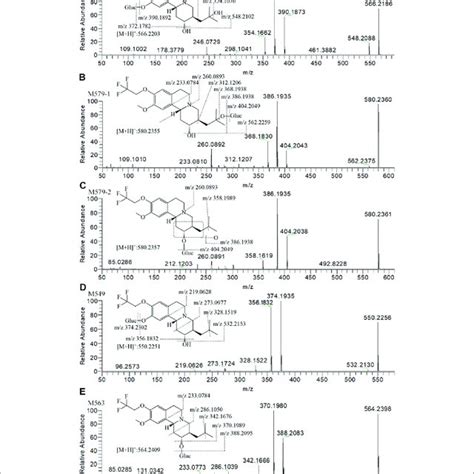 In Vitro Vesicular Monoamine Transporter Vmat Binding Affinity In