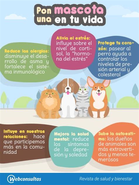 ¡pon Una Mascota En Tu Vida Todos Los Beneficios De Vivir Con Un