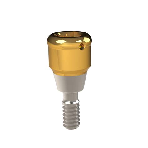 Titanium Implant Abutment Biocare Heliocos Gmbh Internal